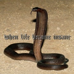 When Life Became Insane (J'Adore Hardcore Punked DJ-Set)