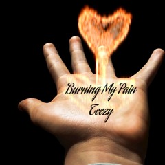 Teezy - Burning My Pain