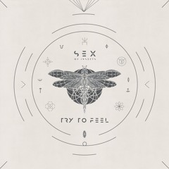 Sex Of Insects - I Can Hear The Light