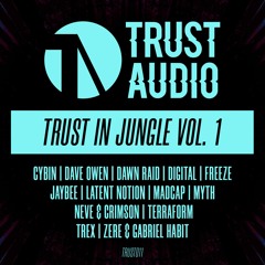 Trust in Jungle VOL.1 LP Mini Mix