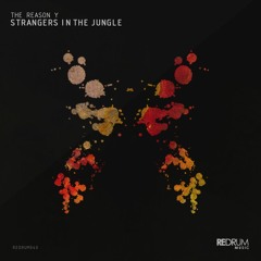 PREMIERE: The Reason Y - Prism (Original Mix) [Redrum Music]