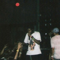 All Capital STEEZ P.E.E.P The APROcalypse Verses