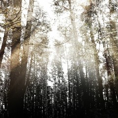 Dub/Deep/Minimal/Ambient/Inteligent # 34