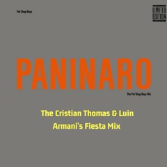 PET SHOP BOYS - PANINARO (LUIN & CRISTIAN THOMAS ARMANI'S FIESTA MIX)