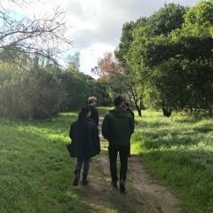 Lead / Follow / Triumph