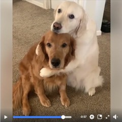 Dumbell Chest Fly [Demo] (Prod. Solo Silk)