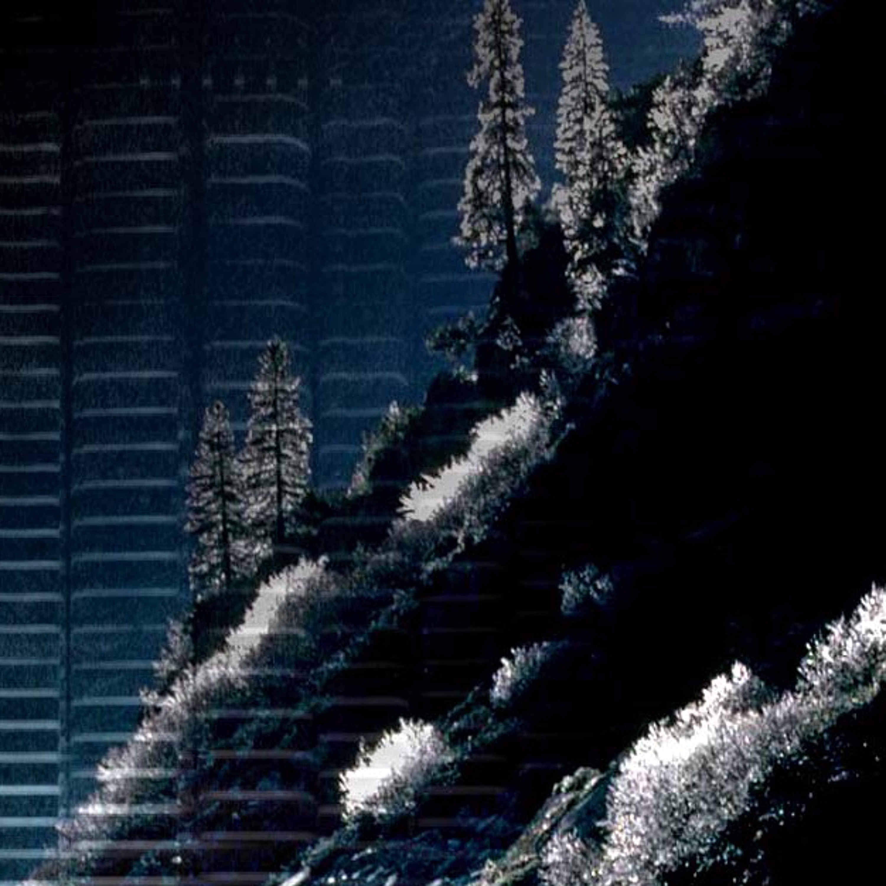 Cliff Crego