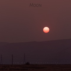 Moon (feat. Raw Roach)