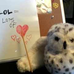 LOL - Rodney And John cover