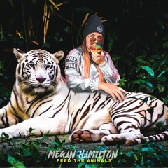 Megan Hamilton - Crash feat. Freez
