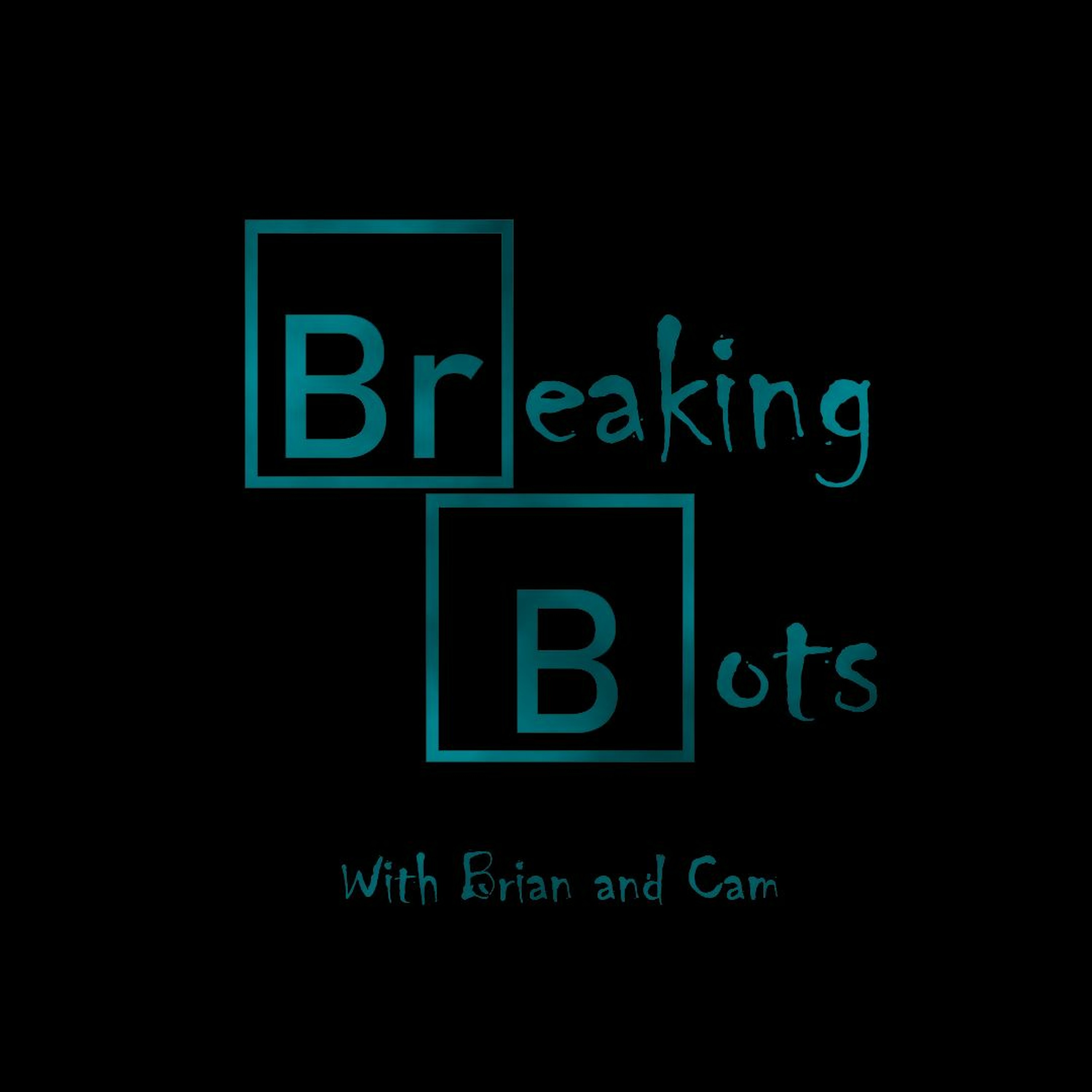 Breaking Bots