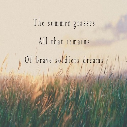 Visions Of Valor Spent - naviarhaiku281