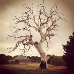 Broken King (Featuring Veronica Nguyen)