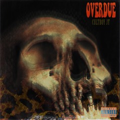 OPTIONS (feat. Wermer) (prod. by Bruce Wayne)