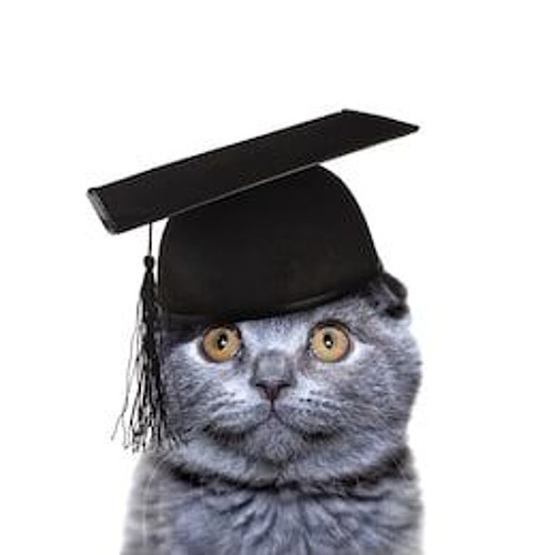 The Cap and Gown Racket Mix 2019 (Allison Graduates!)