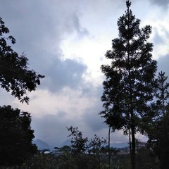 Sigmun - Minotaur (Cover)