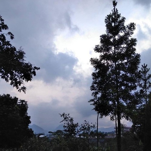 Sigmun - Minotaur (Cover)