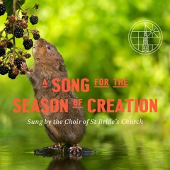 Everything Holds Together - A Song For The Season Of Creation