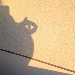 Kitty is love Mouse ?