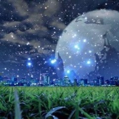 眠れない夜