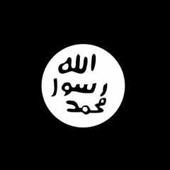 chronicals of the hustla