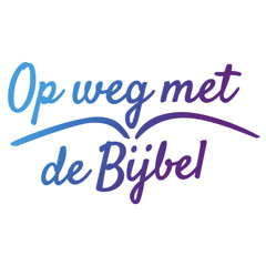 Afl. 13 Frans Koopmans - Groeien