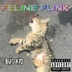 Feline Funk