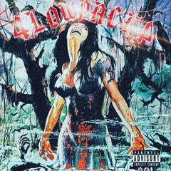 4lowpack4 (prod.liluisxii)