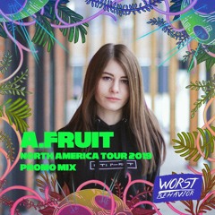 A.Fruit North America Tour 2019 Mix