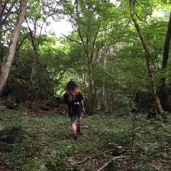 Cacharpaya Del Indio