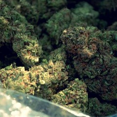 Trappa (Prod By. Drumma)