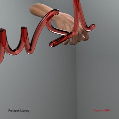 Prolapse Library EP