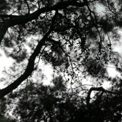 The Void