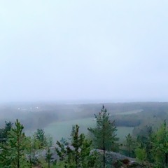 The One Who Got Away