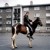 Artwork for Lil Nas X - Old Town Road (Ben Suff Donk Flip)