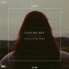 Lana Del Rey - summertime sadness ( cold autumn remix )