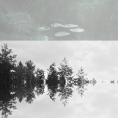 Sztvo - Live The Swamp