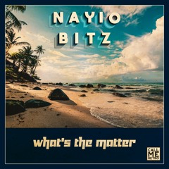 Nayio Bitz - What's The Matter (Original Mix) TEASER