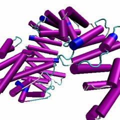 AI designed music and translation to de novo protein