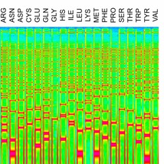 Sounds of the basic building blocks of life: A sweep through all natural 20 amino acids