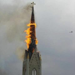 The Virus And Antidote - InSolitudeIsWhereHeLaid