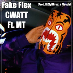 Fake Flex Ft. MT TWINS [prod. mech & rizzybprod]