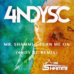 Mr. Shammi - Turn Me On (4ndy Sc Remix)