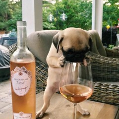 The Purpose of a Party