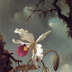 i fall apart ft. post malone