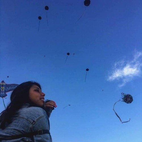 Zapatería kites Clearance