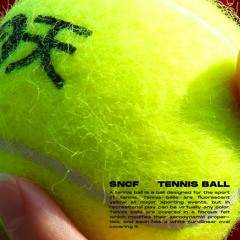 Tennis Ball