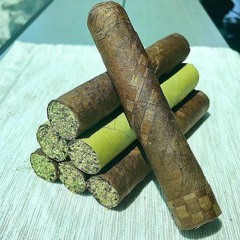 No Flodge - Trip Guapo × T $cotch  Produced by $howout