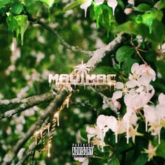 10. Hakeem (Prod. Loesoe)