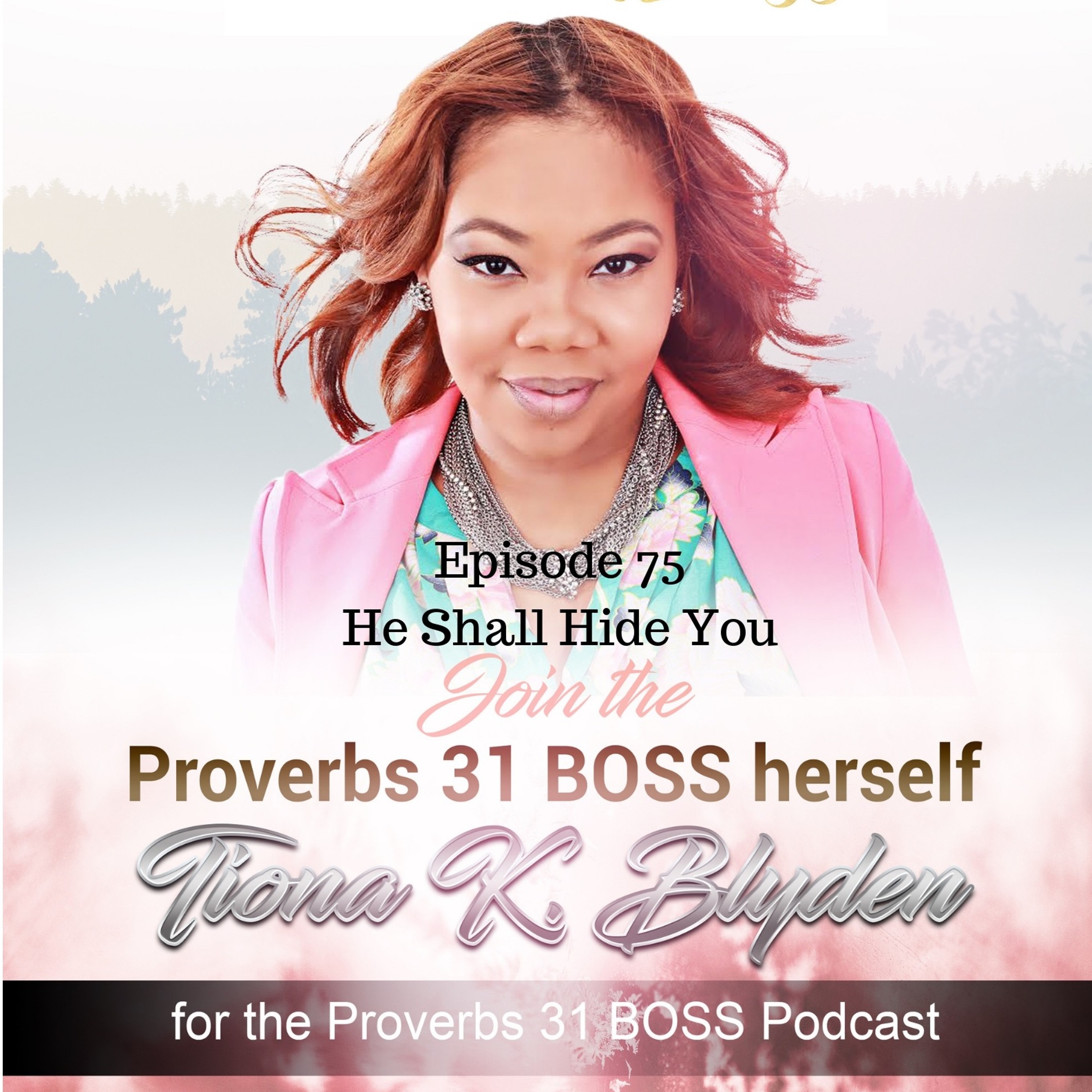 Proverbs 31 BOSS